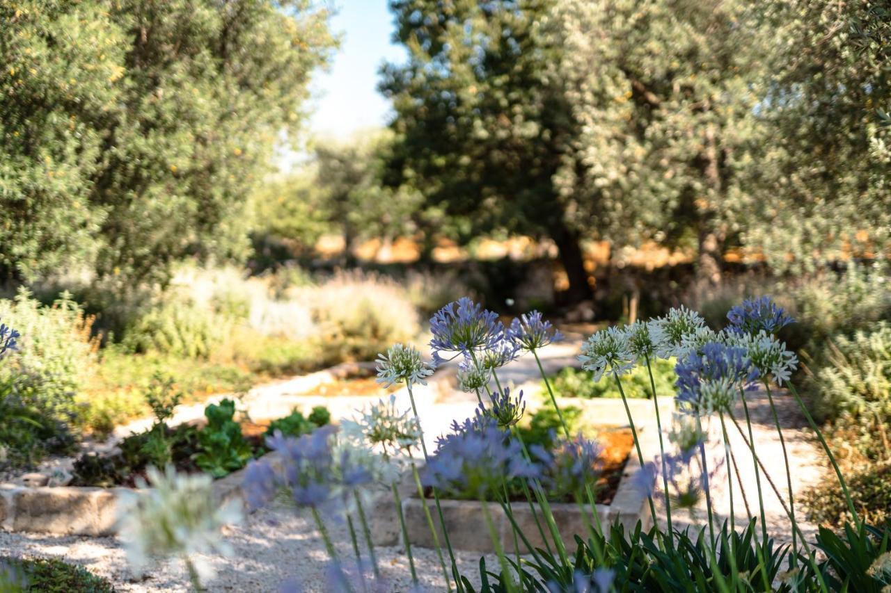 Villa Trulli Ad Maiora Alberobello Exterior foto